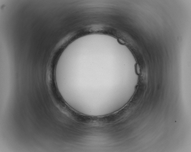 X0000111390732200907311113