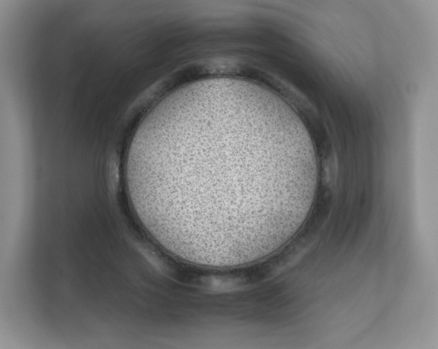 X0000111390733200907311113