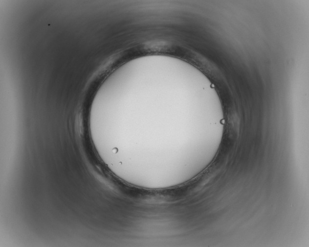 X0000111390734200907311113