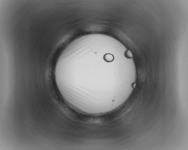 X0000111390735200907311113