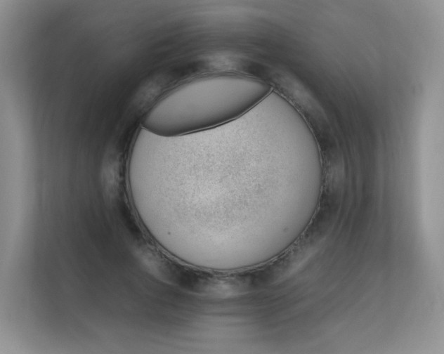 X0000111390736200907311113