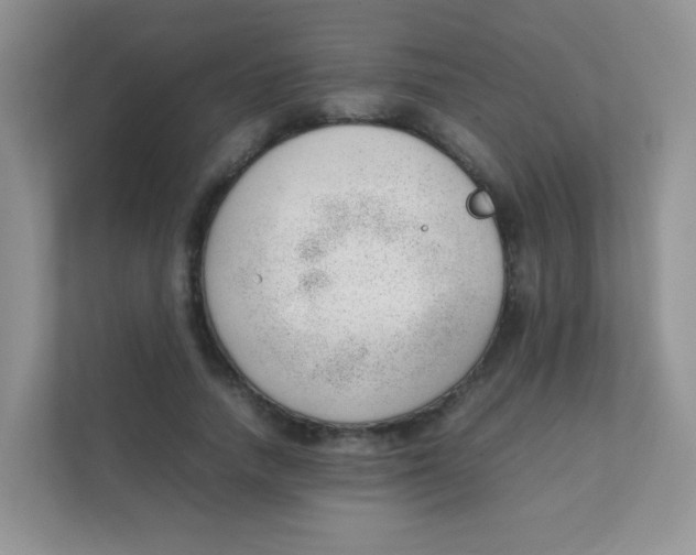 X0000111390738200907311113