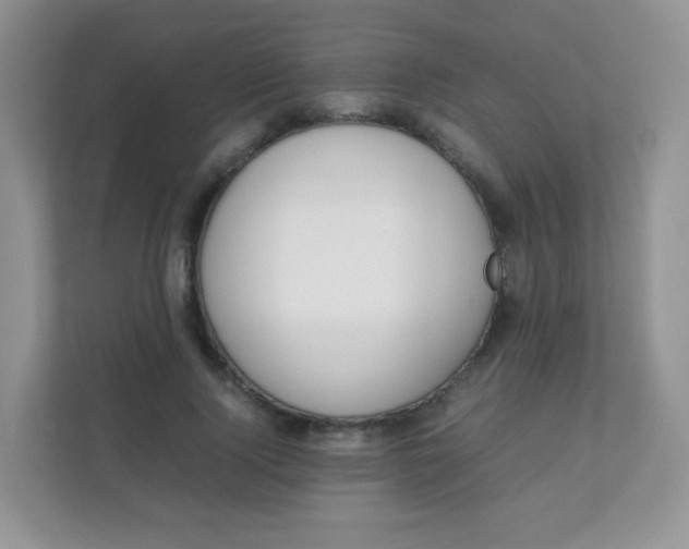 X0000111390740200907311113