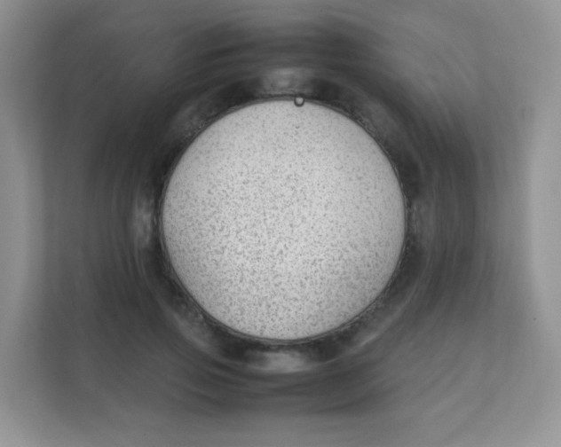 X0000111390741200907311113