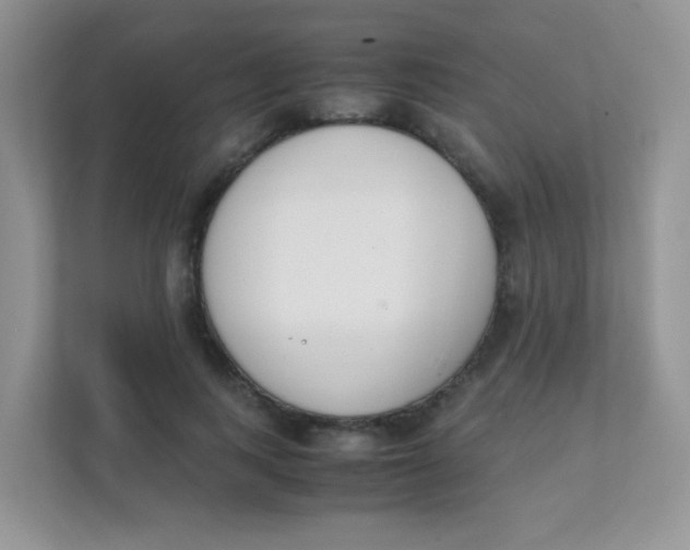 X0000111390743200907311113