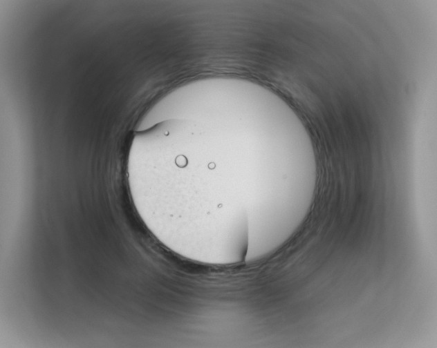 X0000111390744200907311113