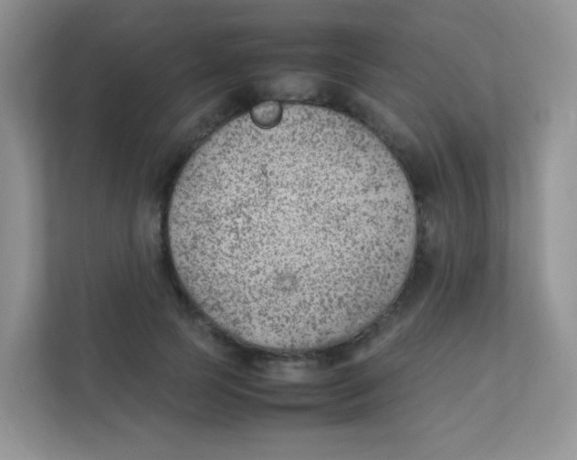 X0000111390745200907311113