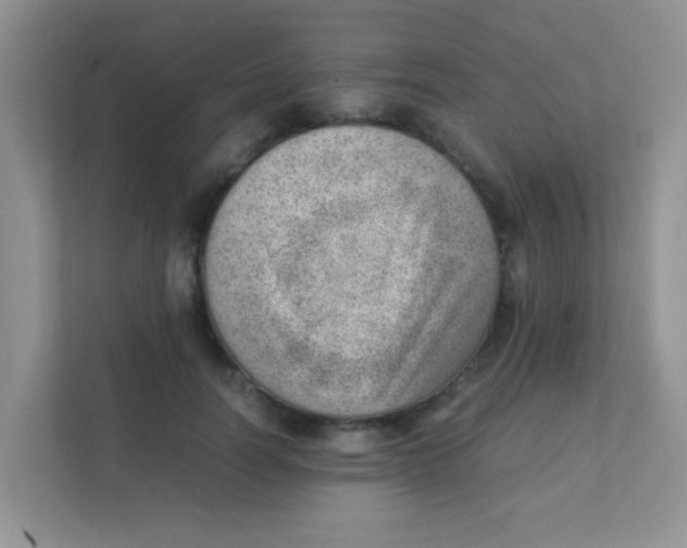 X0000111390746200907311113