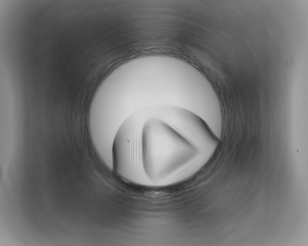 X0000111390748200907311113