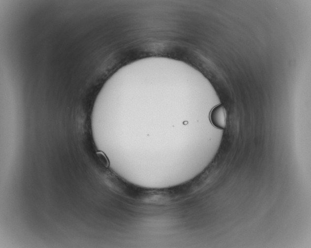 X0000111390750200907311113