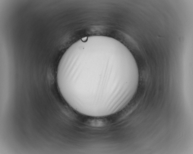 X0000111390751200907311113