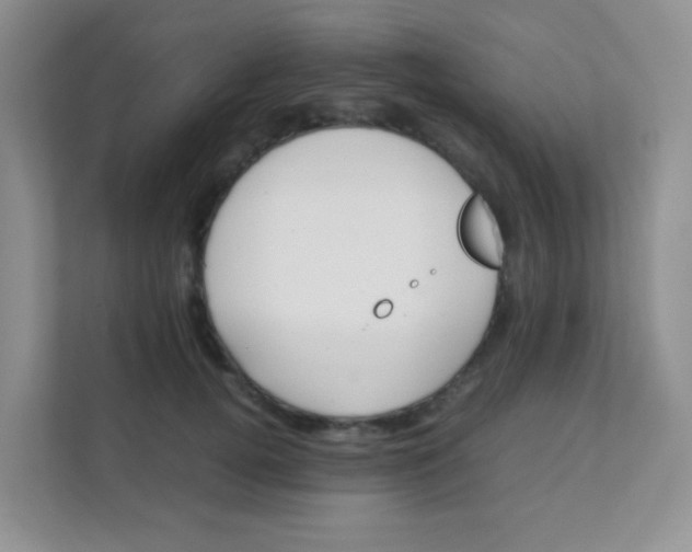 X0000111390752200907311113