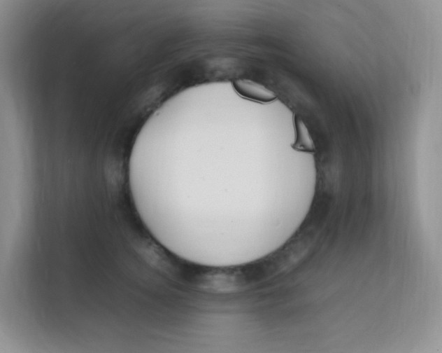 X0000111390756200907311113