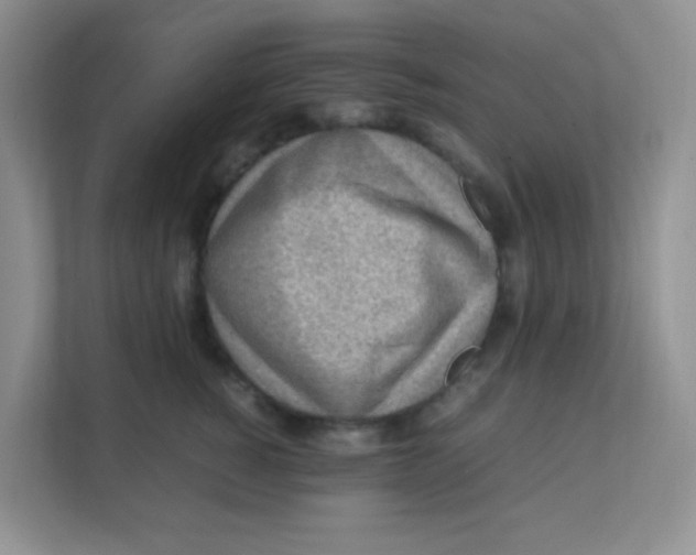 X0000111390760200907311114