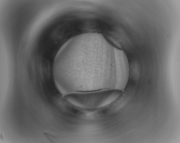 X0000111390762200907311114