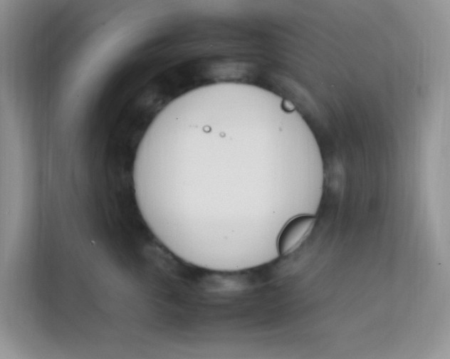 X0000111390763200907311114