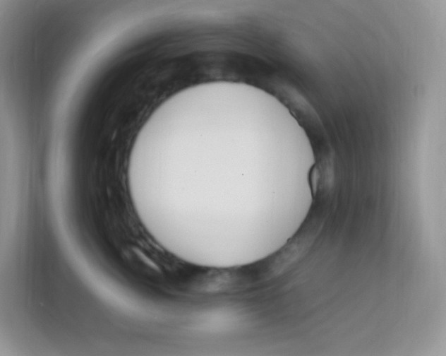 X0000111390764200907311114