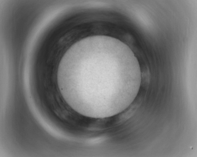 X0000111390765200907311114