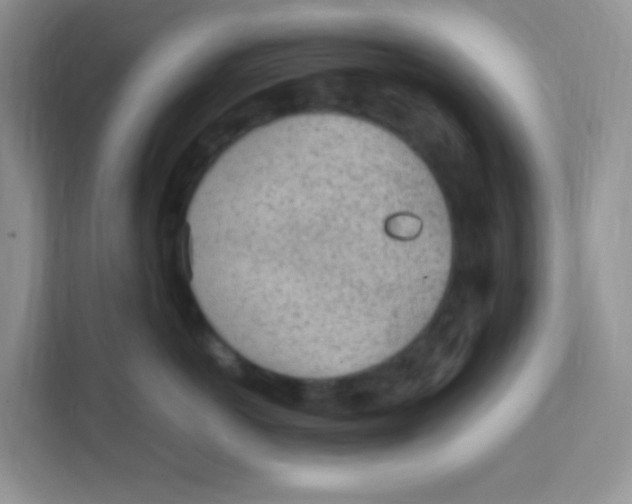 X0000111390766200907311114