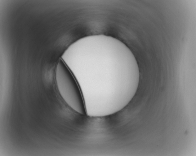 X0000111390768200907311114