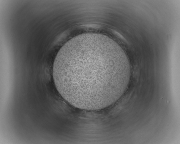 X0000111390774200907311113