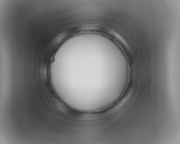 X0000111390777200907311113