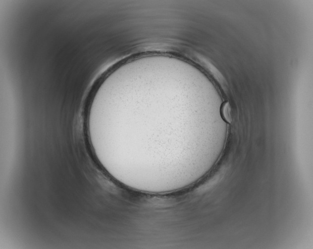 X0000111390779200907311113