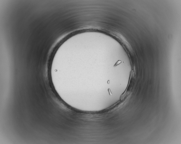 X0000111390780200907311113