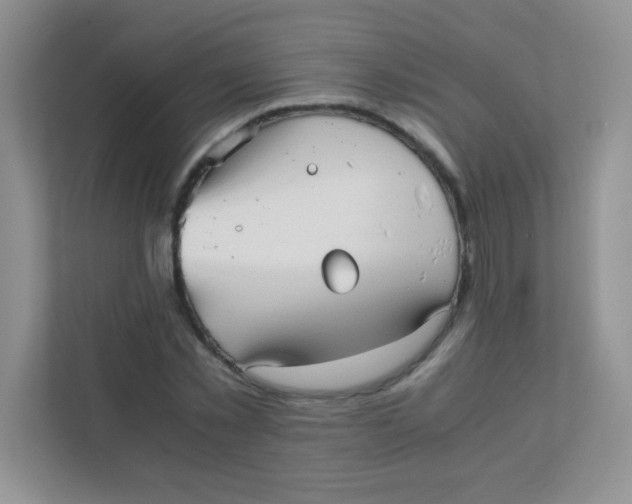 X0000111390781200907311113