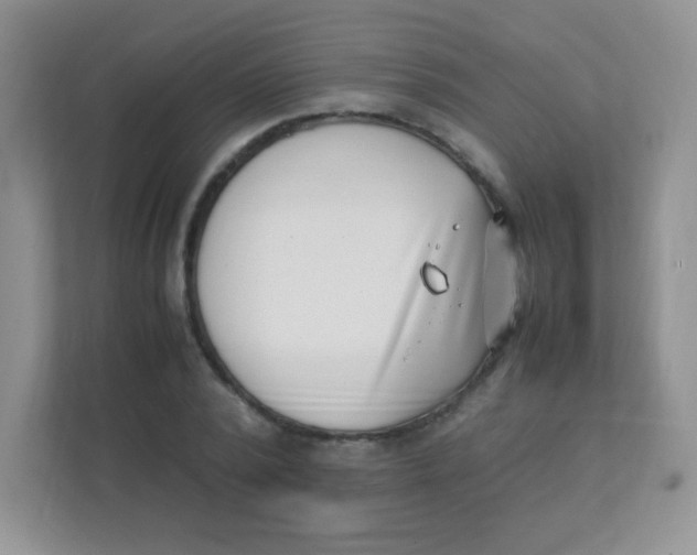 X0000111390784200907311113