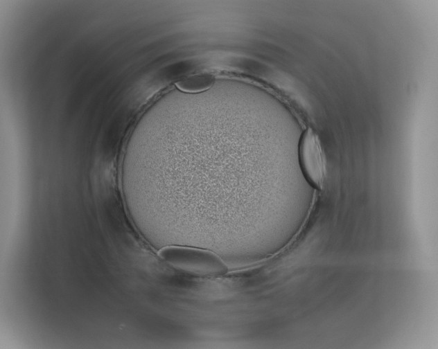 X0000111390785200907311113