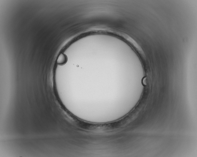 X0000111390791200907311113