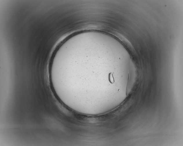 X0000111390792200907311113