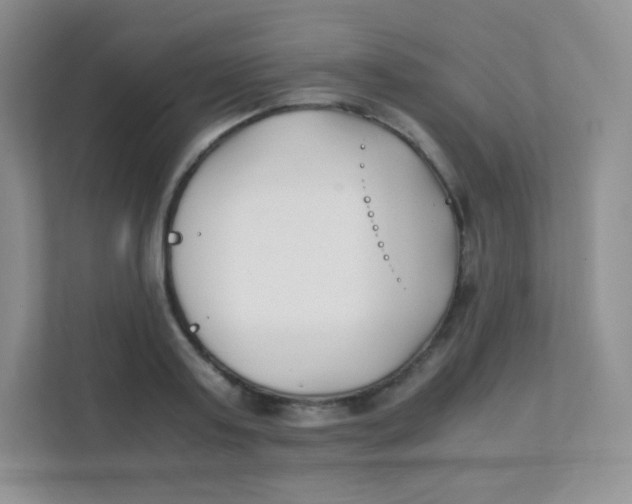 X0000111390795200907311113