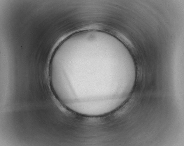 X0000111390800200907311113