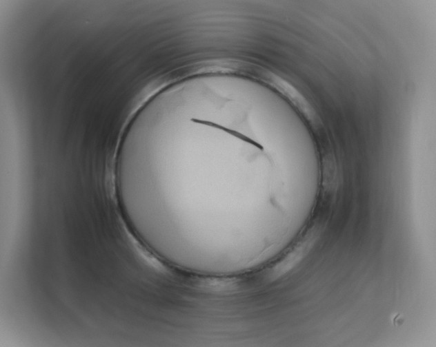 X0000111390802200907311113