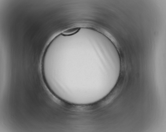 X0000111390803200907311113