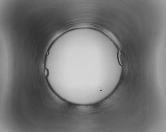 X0000111390805200907311113