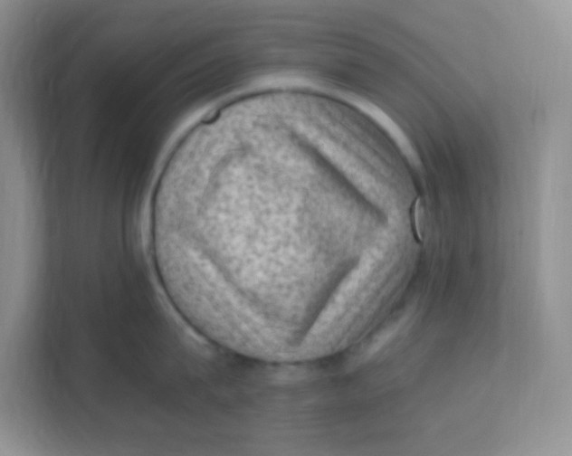 X0000111390815200907311112