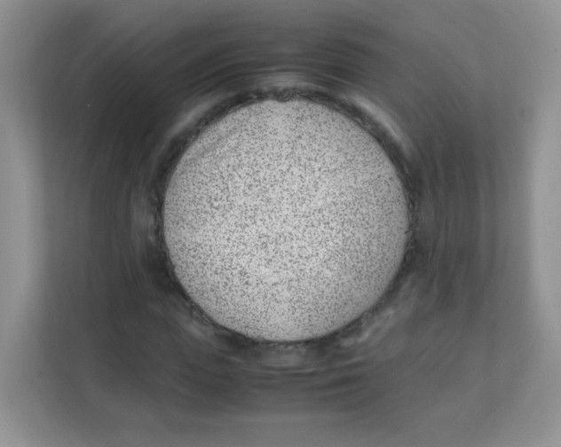 X0000111390823200907311112