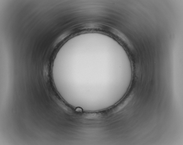 X0000111390826200907311112