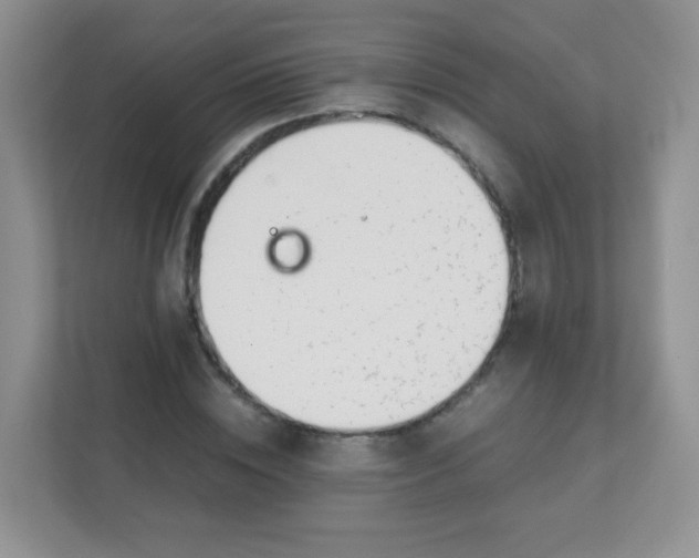 X0000111390828200907311112