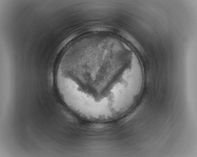 X0000111390829200907311112