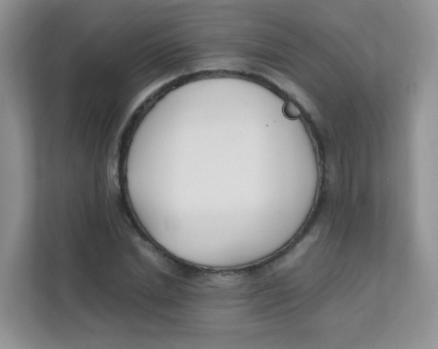 X0000111390830200907311112