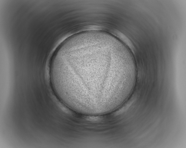 X0000111390835200907311112