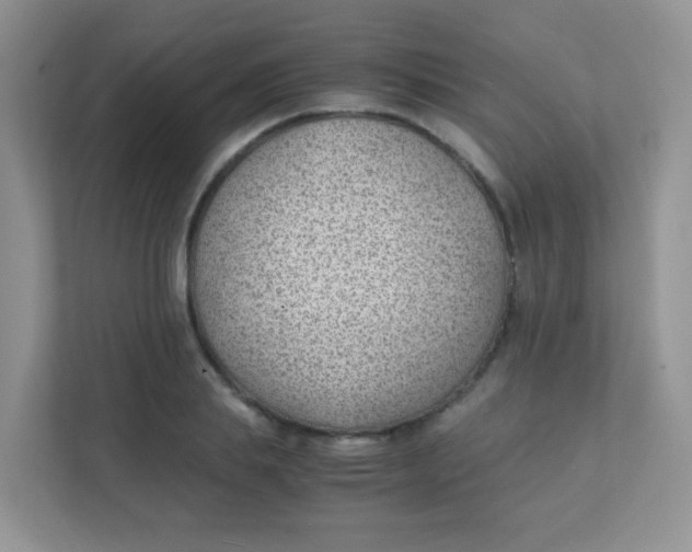 X0000111390839200907311112