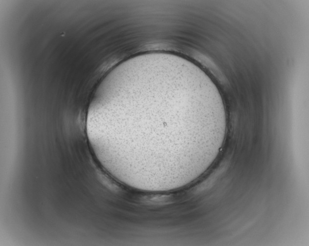 X0000111390841200907311112