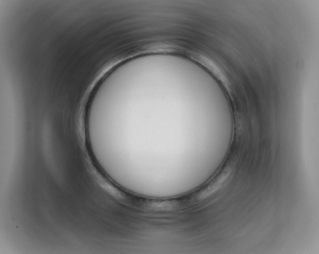 X0000111390843200907311112