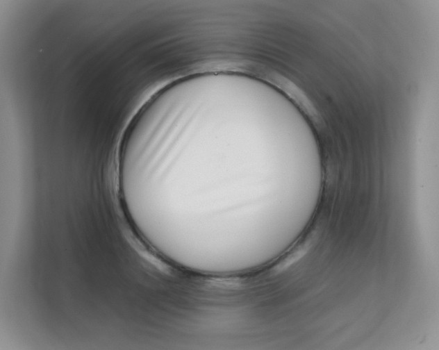 X0000111390844200907311112