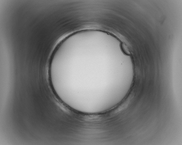 X0000111390846200907311112